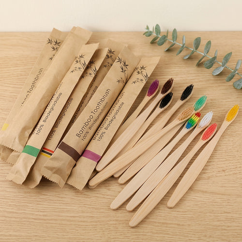 Brosses à dents en bambou et charbon sur fond crème